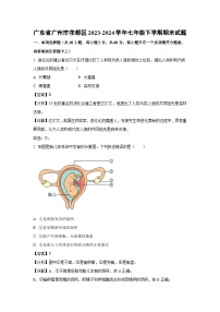 广东省广州市花都区2023-2024学年七年级下学期期末生物试题