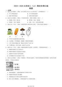 2023~2025北京初二（上）期末真题生物汇编：真菌