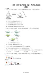 2023~2025北京初二（上）期末真题生物汇编：细菌