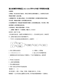 湖北省襄阳市樊城区2023-2024学年七年级下学期期末生物试题（解析版）