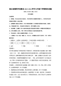 湖北省襄阳市保康县2023-2024学年七年级下学期期末生物试题（解析版）