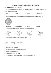2025年甘肃省武威市凉州区武威三中教研联九年级片一模生物试题（原卷版+解析版）（中考模拟）