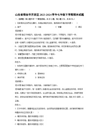 山东省烟台市开发区2023-2024学年七年级下学期期末生物试题（解析版）