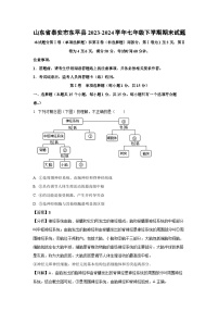山东省泰安市东平县2023-2024学年七年级下学期期末生物试题（解析版）