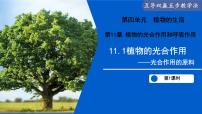 初中生物苏教版（2024）七年级下册（2024）植物的光合作用课前预习课件ppt