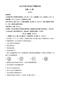 2025年山东省枣庄市山亭区八年级中考二模生物试题（中考模拟）