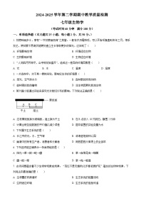 安徽省合肥市2024-2025学年七年级下学期期中生物试题（原卷版+解析版）