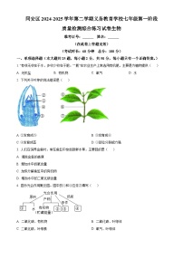 福建省厦门市2024-2025学年七年级下学期期中生物试题（原卷版+解析版）