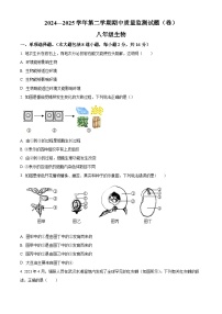 甘肃省平凉市2024-2025学年八年级下学期期中生物试题（原卷版+解析版）