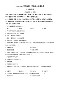 广东省茂名市电白区2024-2025学年八年级上学期期末生物试题（原卷版+解析版）