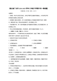 湖北省广水市2024-2025学年八年级下学期中考一模[中考模拟]生物试卷（解析版）