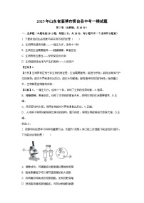 2025年山东省淄博市桓台县中考一模[中考模拟]生物试卷（解析版）