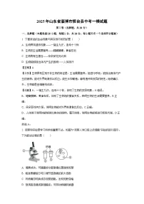 2025年山东省淄博市桓台县中考一模[中考模拟]生物试卷（解析版）