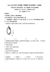 河北省邯郸市武安多校2024-2025学年七年级下学期期中生物试题（原卷版+解析版）