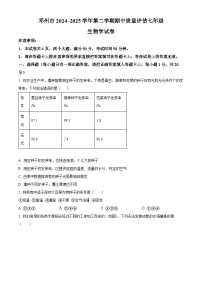 河南省南阳市邓州市2024-2025学年七年级下学期期中生物试题（原卷版+解析版）