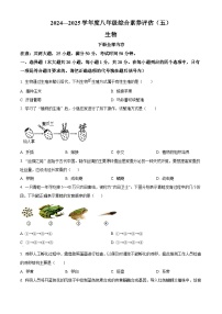 河南省周口市2024--2025学年八年级下学期3月月考生物试题（原卷版+解析版）