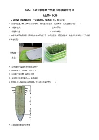 河南师范大学附属中学多校2024-2025学年七年级下学期期中生物试题（原卷版+解析版）
