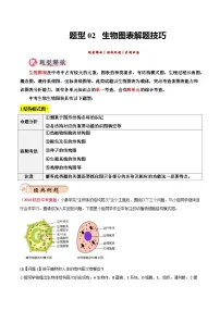 2025年中考生物答题技巧与模式(通用版)题型02生物图表解题技巧(学生版+解析)特训