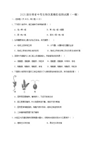 2025届甘肃省中考生物仿真模拟检测试题（一模）含答案