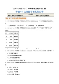 备考2025年中考生物三年真题分类汇编(全国通用)专题08生物圈中的其他生物(原卷版+解析)