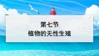 济南版（2024）七年级下册（2024）无性生殖保持了生物遗传特征的稳定教学课件ppt