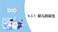 初中生物济南版（2024）七年级下册（2024）婴儿从受精卵发育而来评课课件ppt