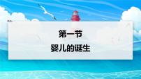 初中生物济南版（2024）七年级下册（2024）婴儿从受精卵发育而来教学课件ppt