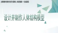 初中生物人教版（2024）七年级下册（2024）设计并制作人体结构模型课前预习课件ppt
