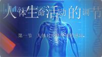 初中生物人教版（2024）八年级上册（2024）第四单元 人体生理与健康（二）第六章 人体生命活动的调节第一节 人体对外界环境的感知课文内容课件ppt
