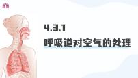 初中生物人教版（2024）七年级下册（2024）呼吸道对空气的处理说课ppt课件