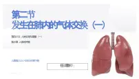 初中发生在肺内的气体交换课文配套ppt课件