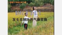 初中生物人教版（2024）七年级下册（2024）发生在肺内的气体交换教学课件ppt
