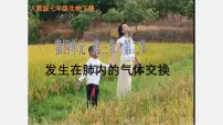 初中生物人教版（2024）七年级下册（2024）发生在肺内的气体交换教学课件ppt