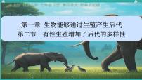 生物济南版（2024）有性生殖增加了后代的多样性集体备课课件ppt