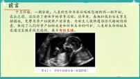 生物七年级下册（2024）婴儿从受精卵发育而来课文课件ppt