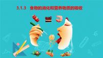 冀少版（2024）七年级下册（2024）营养物质的吸收多媒体教学课件ppt