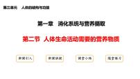 冀少版（2024）人体生命活动需要的营养物质说课ppt课件