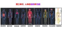 初中生物冀少版（2024）七年级下册（2024）消化系统的组成授课课件ppt