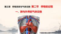 生物七年级下册（2024）肺与外界的气体交换课文配套ppt课件