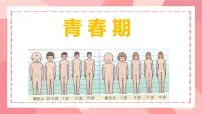 人教版（2024）七年级下册（2024）青春期评课ppt课件