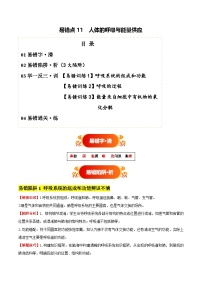 备战2025年中考生物考试易错题(全国通用)易错点11人体的呼吸与能量供应(3大陷阱+3点提醒)(学生版+解析)特训