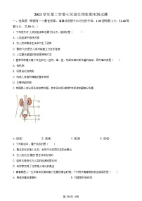 广东省广州市番禺区2021-2022学年七年级下学期期末生物试题（含答案）