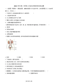 广东省广州市番禺区2021-2022学年七年级下学期期末生物试题（含答案）