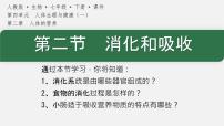 人教版（2024）七年级下册（2024）消化和吸收评课课件ppt