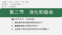 人教版（2024）七年级下册（2024）消化和吸收评课课件ppt
