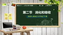 初中生物人教版（2024）七年级下册（2024）消化和吸收图文ppt课件
