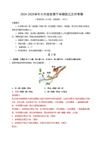 七年级生物月考卷（湖北专用，人教版2024第3单元~第4单元第2章）-2024-2025学年初中下学期第三次月考