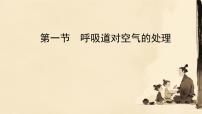 生物七年级下册（2024）呼吸道对空气的处理教课课件ppt