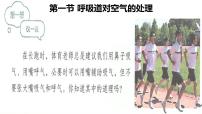 初中生物呼吸道对空气的处理图文课件ppt