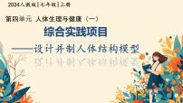 人教版（2024）七年级下册（2024）设计并制作人体结构模型背景图课件ppt